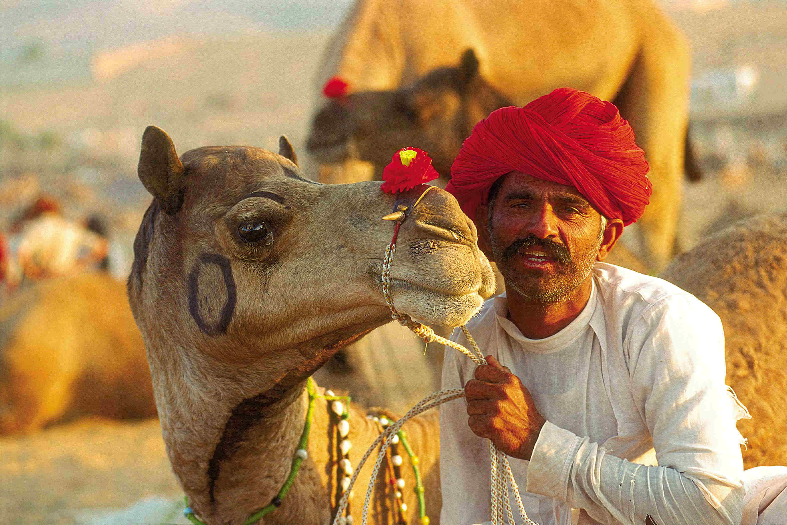 pushkar fair